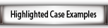 Highlighted Case Examples